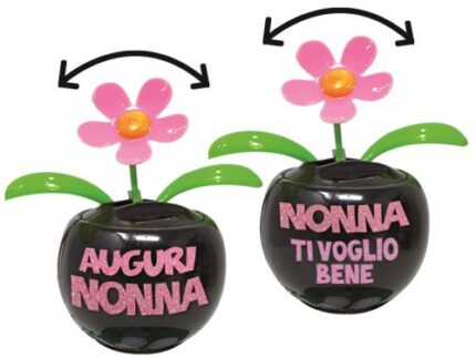 fiorellino ballerino